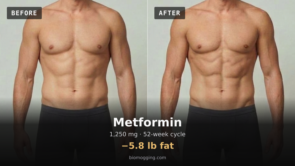Metformin before and after: illustrative male projection over 52 weeks, −5.8 lb fat, starting Fit & Toned with Above Average (+5 lb) body fat. Dose assumption: 1,250 mg midpoint · total unavailable (dose period unclear).