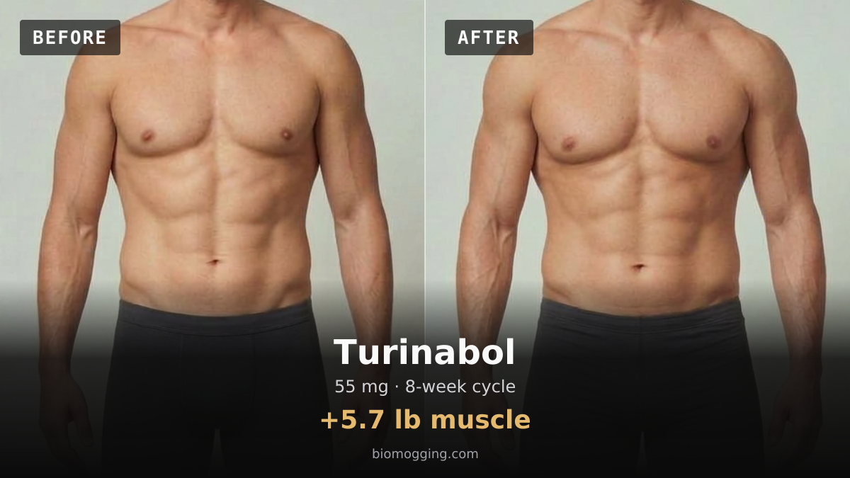 Turinabol before and after: illustrative male projection over 8 weeks, +5.7 lb muscle, starting Fit & Toned with Above Average (+5 lb) body fat. Dose assumption: 55 mg midpoint · total unavailable (dose period unclear).